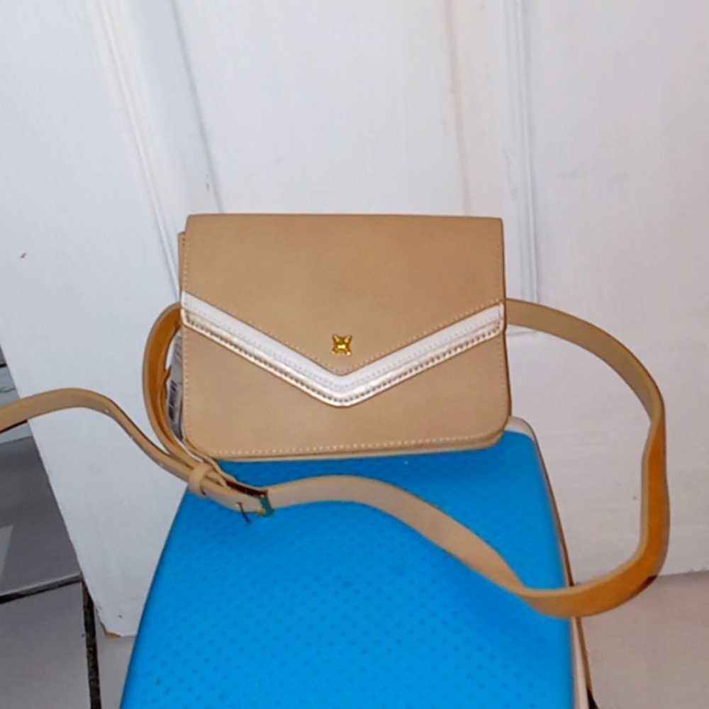Purse Belt